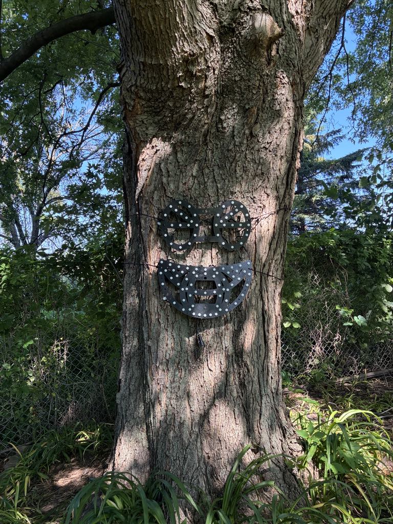 Anything is a Singing Face